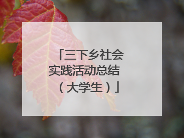 三下乡社会实践活动总结(大学生)