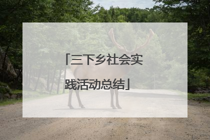 三下乡社会实践活动总结