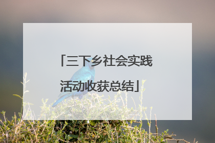 三下乡社会实践活动收获总结