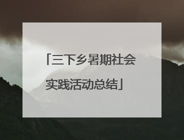 三下乡暑期社会实践活动总结