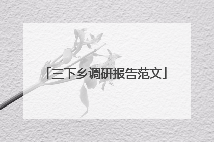 三下乡调研报告范文