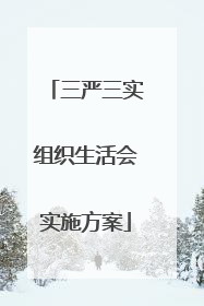 三严三实组织生活会实施方案