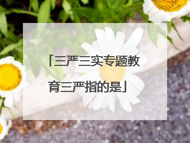 三严三实专题教育三严指的是