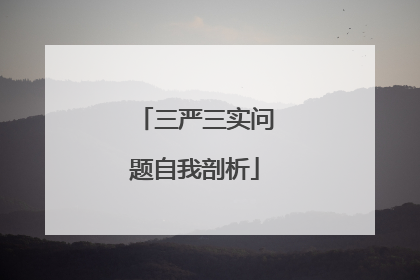 三严三实问题自我剖析