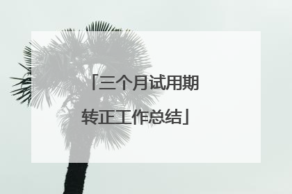 三个月试用期转正工作总结