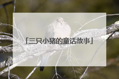 三只小猪的童话故事