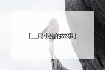 三只小猪的故事