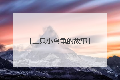 三只小乌龟的故事