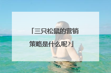 三只松鼠的营销策略是什么呢?