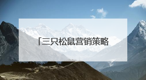 三只松鼠营销策略分析是怎么样的?