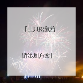 三只松鼠营销策划方案