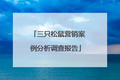 三只松鼠营销案例分析调查报告