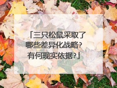 三只松鼠采取了哪些差异化战略?有何现实依据?