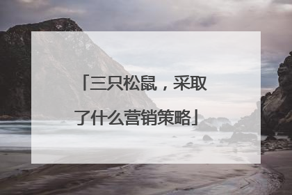 三只松鼠,采取了什么营销策略