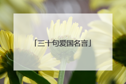 三十句爱国名言