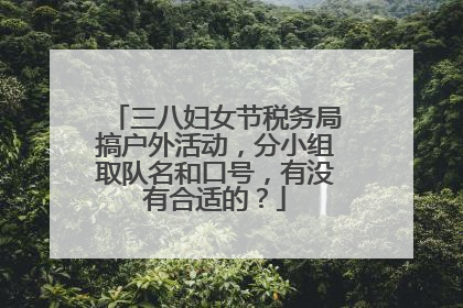 三八妇女节税务局搞户外活动，分小组取队名和口号，有没有合适的？