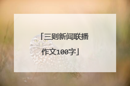三则新闻联播作文100字