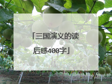 三国演义的读后感400字