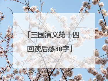 三国演义第十四回读后感30字