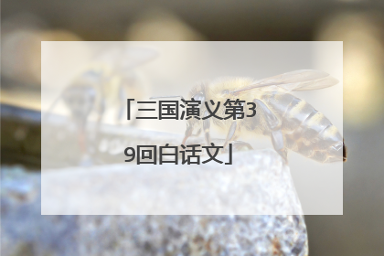 三国演义第39回白话文