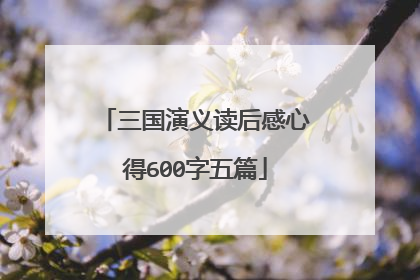 三国演义读后感心得600字五篇