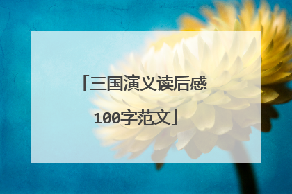 三国演义读后感100字范文
