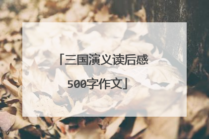 三国演义读后感500字作文