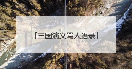 三国演义骂人语录