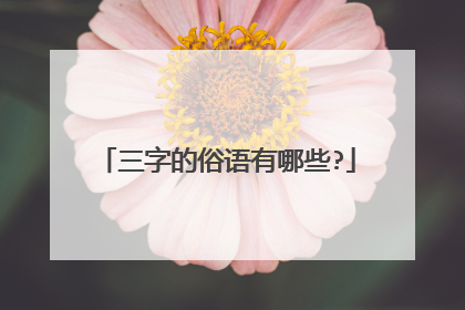 三字的俗语有哪些?