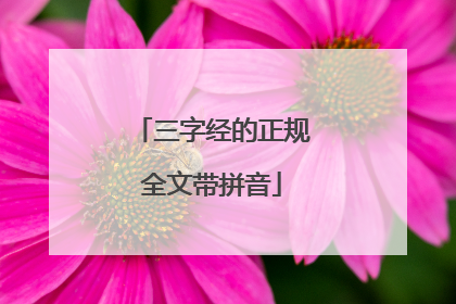 三字经的正规全文带拼音