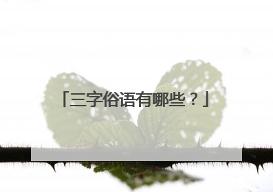 三字俗语有哪些？