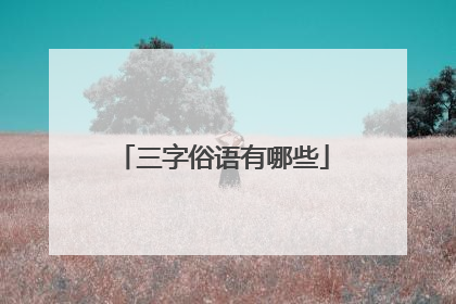 三字俗语有哪些