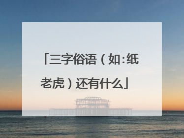 三字俗语（如:纸老虎）还有什么