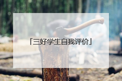 三好学生自我评价
