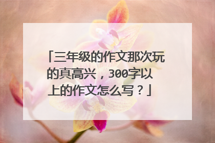 三年级的作文那次玩的真高兴，300字以上的作文怎么写？