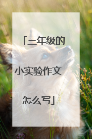 三年级的小实验作文怎么写