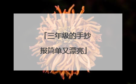 三年级的手抄报简单又漂亮