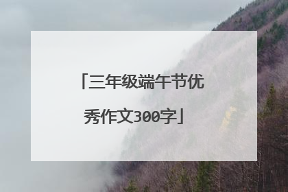 三年级端午节优秀作文300字