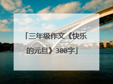 三年级作文《快乐的元旦》300字