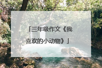 三年级作文《我喜欢的小动物》