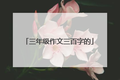 三年级作文三百字的
