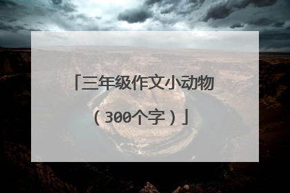 三年级作文小动物（300个字）