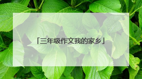 三年级作文我的家乡