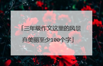 三年级作文这里的风景真美丽至少100个字
