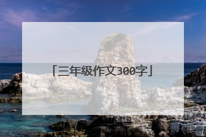 三年级作文300字
