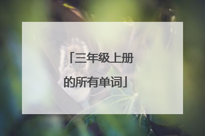 三年级上册的所有单词