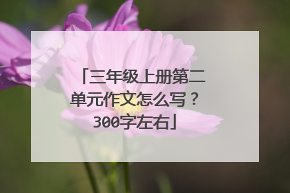 三年级上册第二单元作文怎么写?300字左右