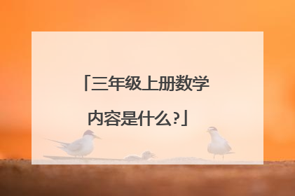 三年级上册数学内容是什么?