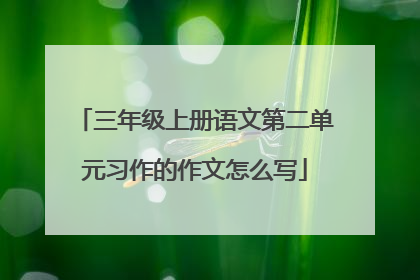三年级上册语文第二单元习作的作文怎么写
