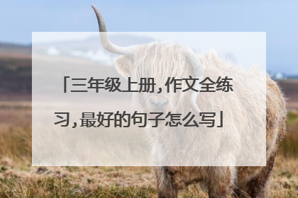 三年级上册,作文全练习,最好的句子怎么写